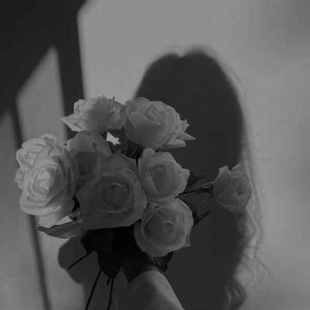  تصویر زمینه سیاه سفید گل رز