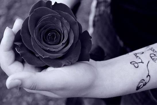  عکس گل رز سیاه برای پروفایل