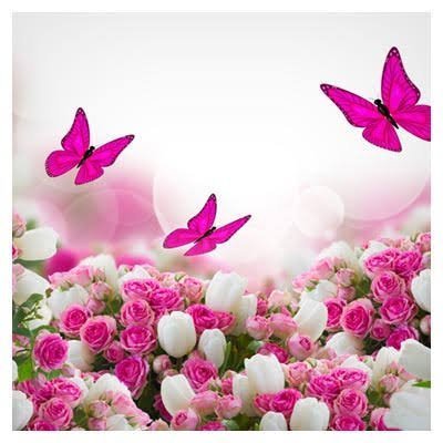 دانلود پس زمینه گل گلی فانتزی صورتی