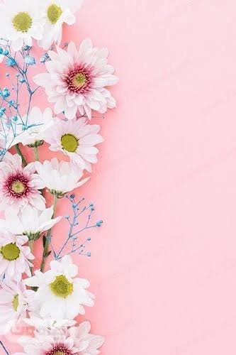  دانلود پس زمینه گل گلی فانتزی صورتی
