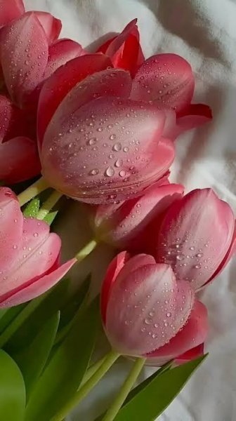  دانلود پس زمینه گل گلی فانتزی صورتی