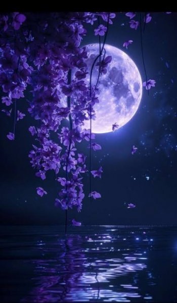  عکس بنفش دخترانه