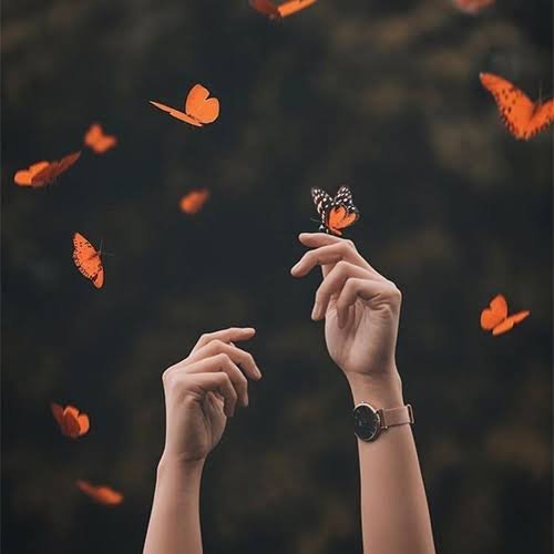 دانلود عکس پروفایل جدید تلگرام