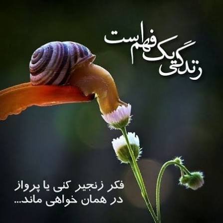  عکس پروفایل تلگرام خفن