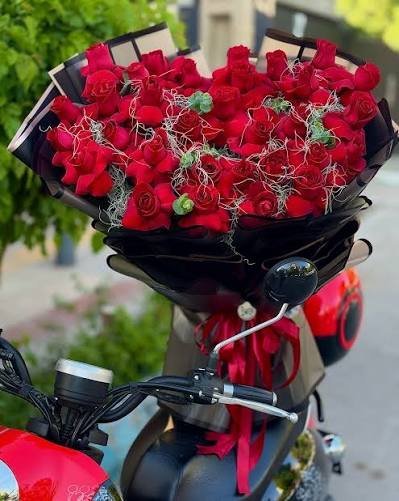  عکس شاخه گل رز برای استوری