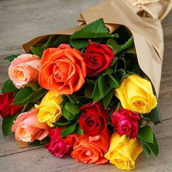  عکس شاخه گل رز برای استوری