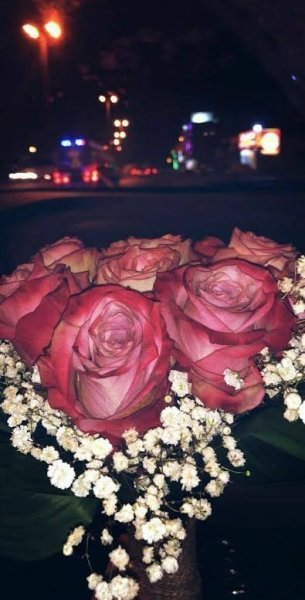  عکس شاخه گل رز برای استوری