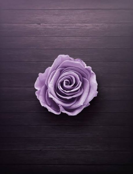 دانلود تصویر زمینه بنفش با کیفیت بالا برای کامپیوتر
