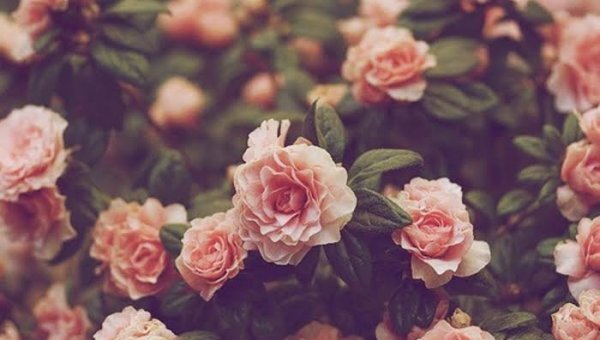 عکس پشت زمینه کامپیوتر دخترانه