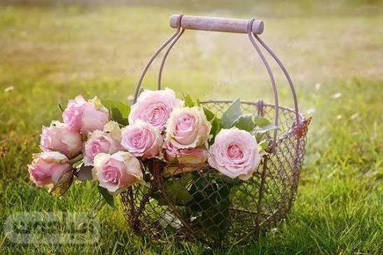  بک گراند کامپیوتر دخترانه