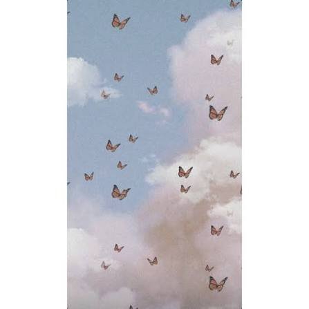  بک گراند پروانه ای