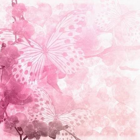  بک گراند پروانه ای