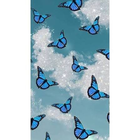  بک گراند پروانه آبی