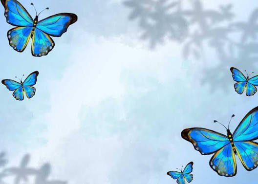  بک گراند پروانه آبی