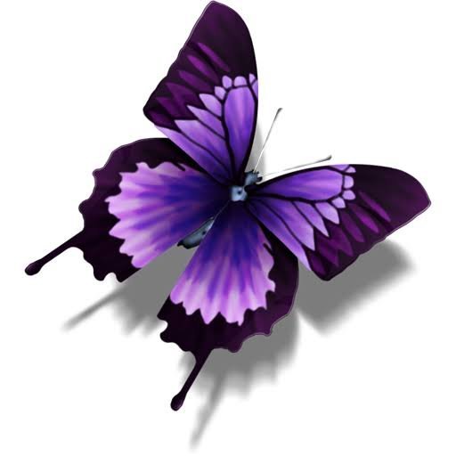  بک گراند پروانه بنفش