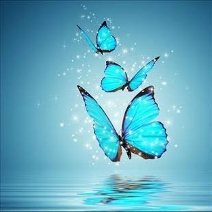  عکس پروانه آبی زیبا