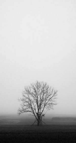 دانلود والپیپر دخترانه مشکی شیک برای آیفون