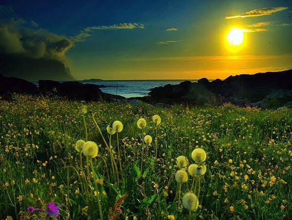  والپیپر رودخانه جنگلی با کیفیت بالا
