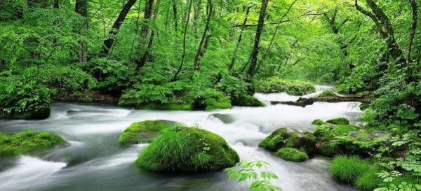  عکس پس زمینه رودخانه زیبا