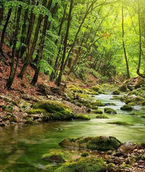  عکس پس زمینه رودخانه زیبا