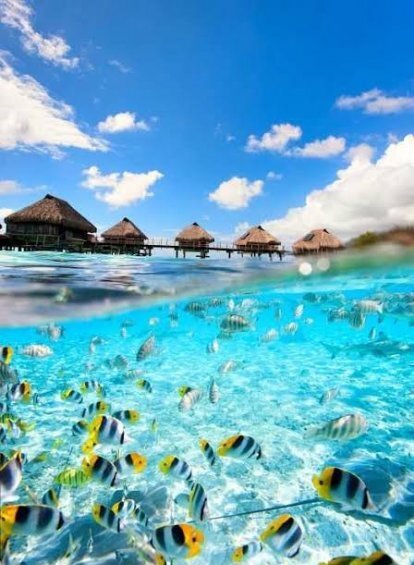 عکس پروفایل ساحل برای تلگرام