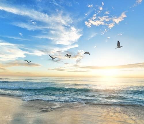  عکس پروفایل ساحل برای تلگرام