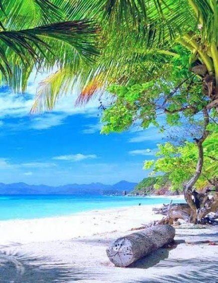  عکس پروفایل ساحل برای تلگرام