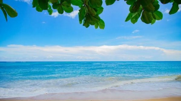 عکس پروفایل ساحل برای تلگرام
