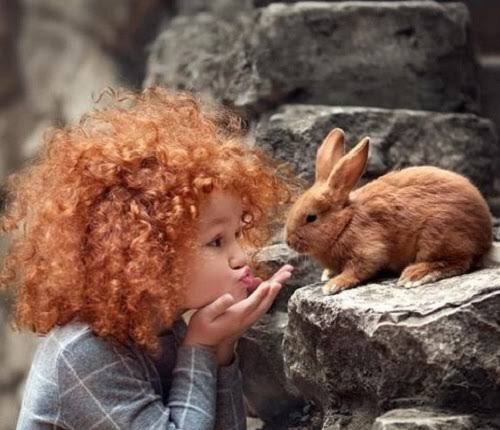  عکس خرگوش ناز و کیوت برای پروفایل دخترانه