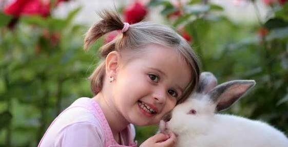  عکس خرگوش دخترانه