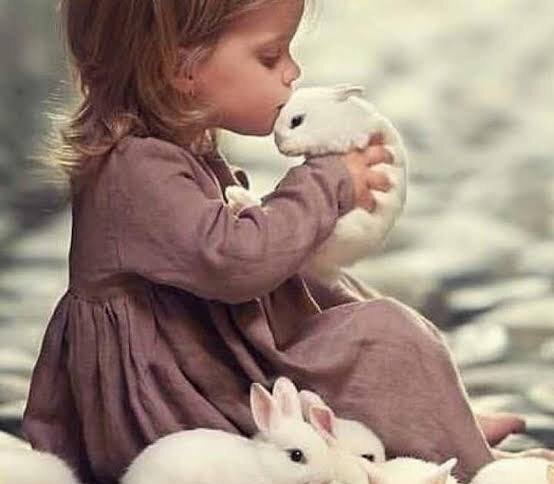 عکس خرگوش دخترانه