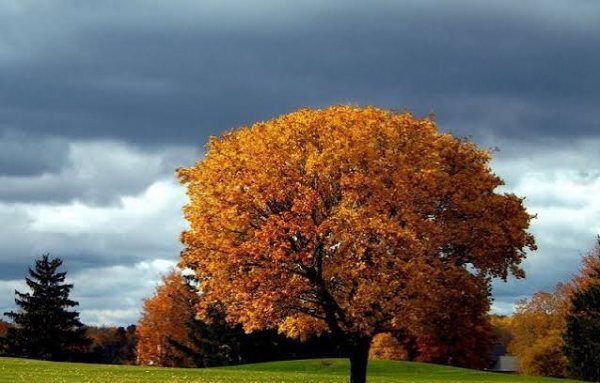  عکس پاییزی جدید