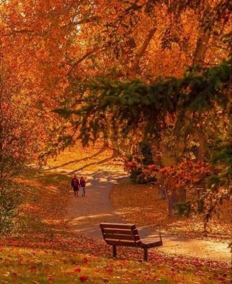  عکس پاییزی جدید