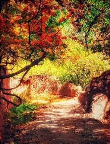 عکس پاییزی جدید