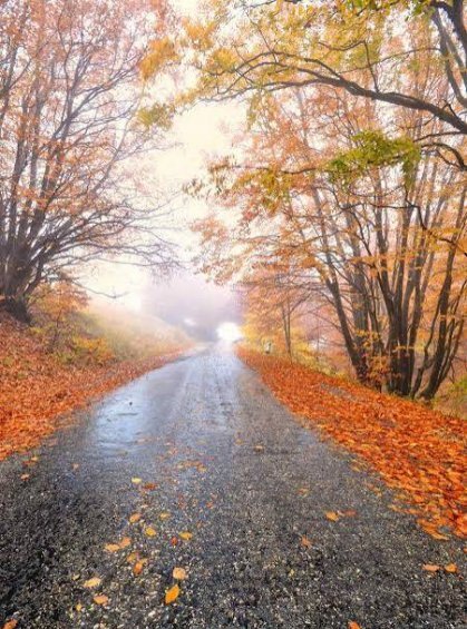  عکس پاییزی جدید