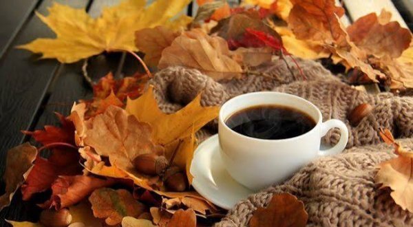  عکس پاییزی جدید