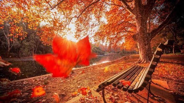  عکس پاییزی جدید