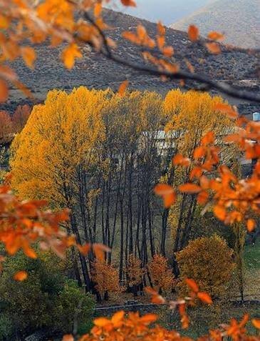  عکس پاییزی جدید