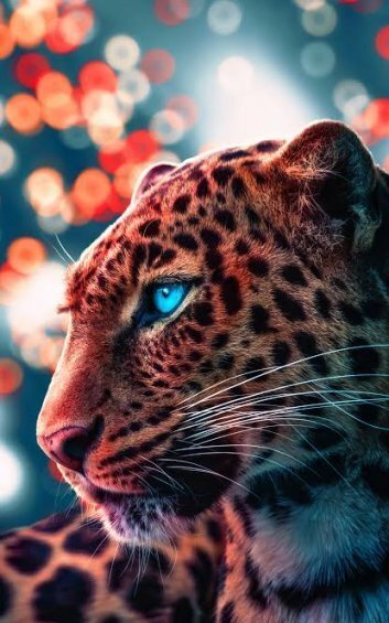  عکس جگوار برای پروفایل پسرانه