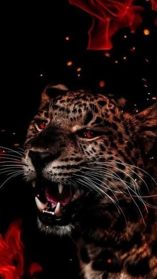  عکس جگوار برای پروفایل پسرانه