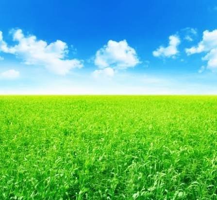  عکس مزرعه کشاورزی در روستا
