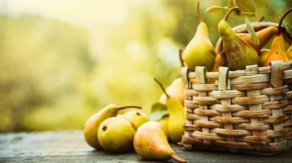 عکس گلابی های تازه و خوشمزه با کیفیت بالا
