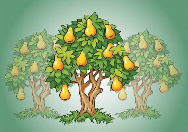  عکس گلابی کارتونی