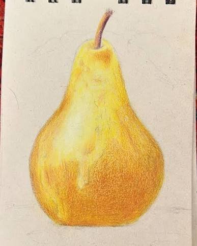  دانلود عکس گلابی نقاشی شده