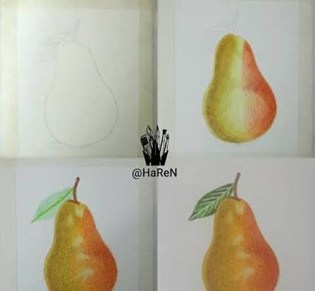  دانلود عکس گلابی نقاشی شده