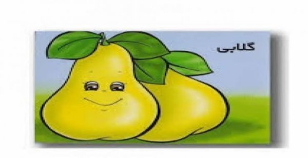  دانلود عکس گلابی نقاشی شده