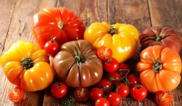  عکس گوجه فرنگی های تازه و شاداب