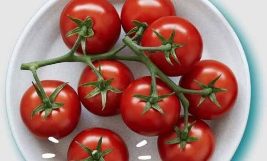  عکس گوجه فرنگی های تازه و شاداب