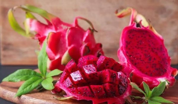 عکس دراگون فروت یا میوه اژدها برای استوری
