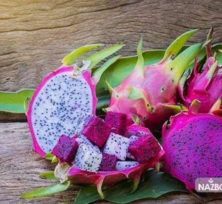  عکس دراگون فروت یا میوه اژدها برای استوری
